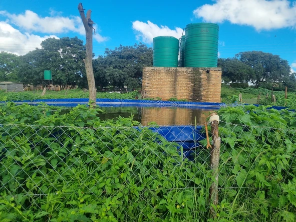 Farm & Agricultural Land