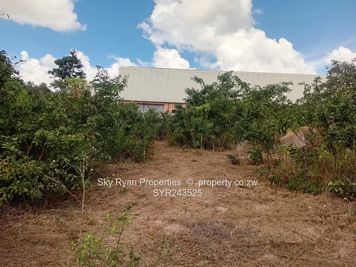 Msasa Industrial Stand For Sale