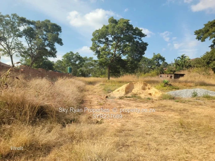 Borrowdale Carrick Creagh Stand For Sale