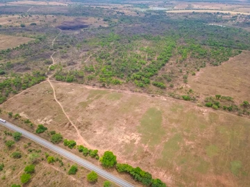 Farm & Agricultural Land