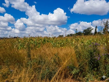 Farm & Agricultural Land
