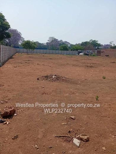 An opportunity not to miss