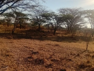 Farm & Agricultural Land