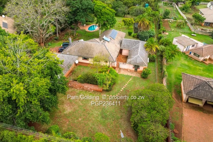 Golden Oldie Great Potential  (Sole Mandate)