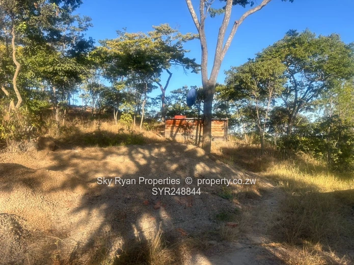 Glen Lorne, Folyjon Crescent Stand For Sale