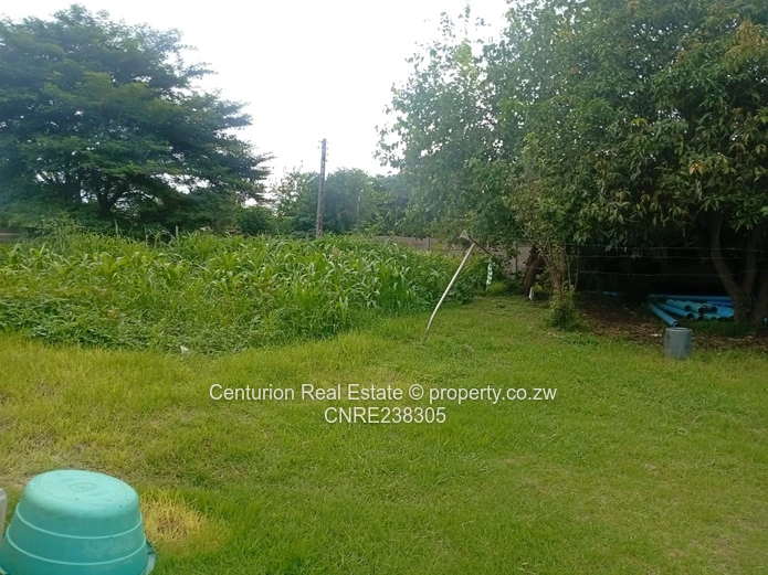 Belvedere house for sale