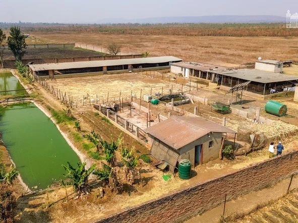 Farm & Agricultural Land