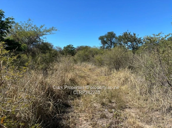 Exceptional Land Opportunity: Three Adjacent Plots