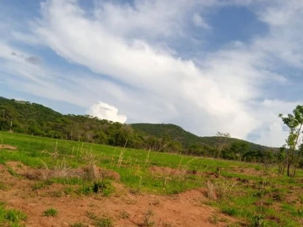 Farm & Agricultural Land