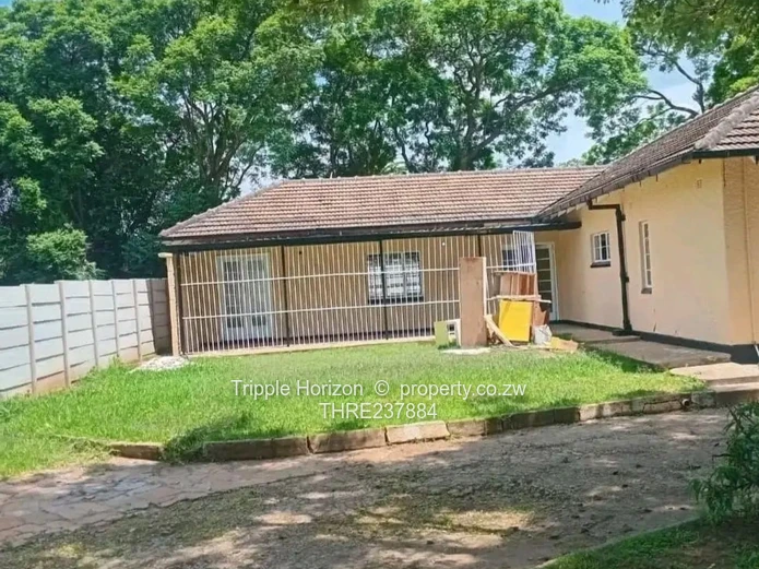 Investment Opportunity 