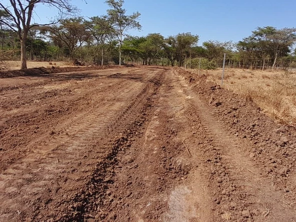 Stands & Residential Land