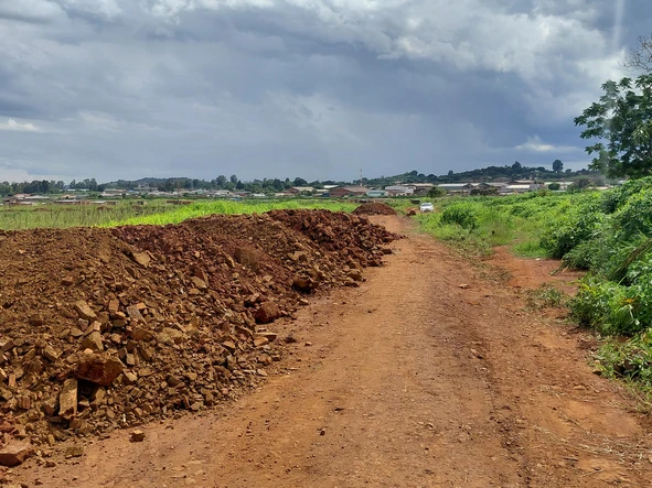 Stands & Residential Land