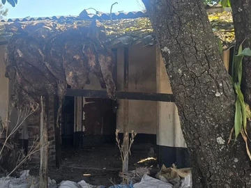 Farm & Agricultural Land