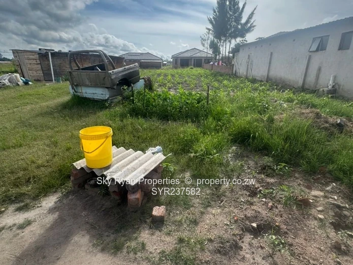 Msasa Park Chardcombe for sale 