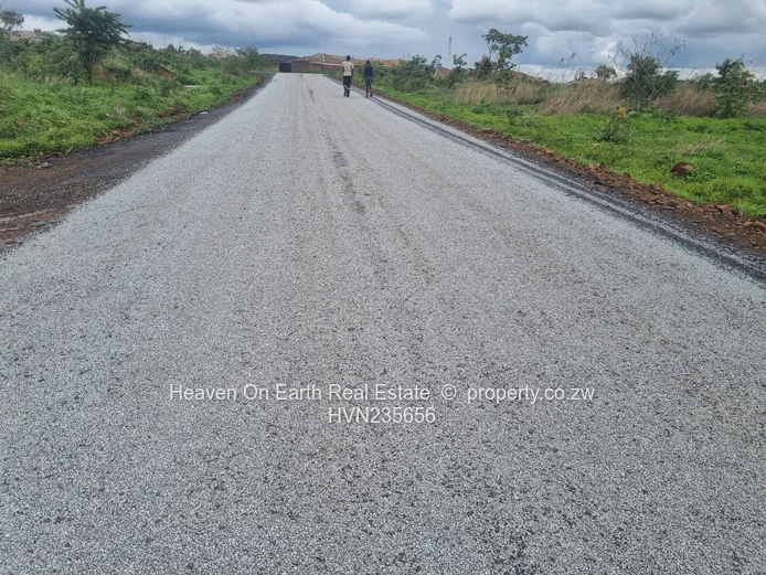 Beautiful stands for sale 