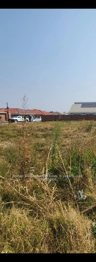 Madokero stand for sale