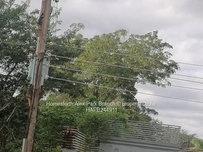 Gweru Stand For Sale