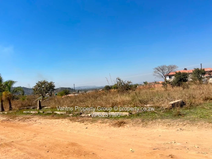 Palm village stands for sale !!!!