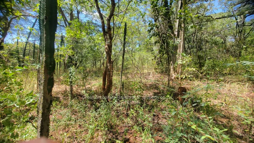 Stands & Residential Land for Sale in Masvingo GZR185259