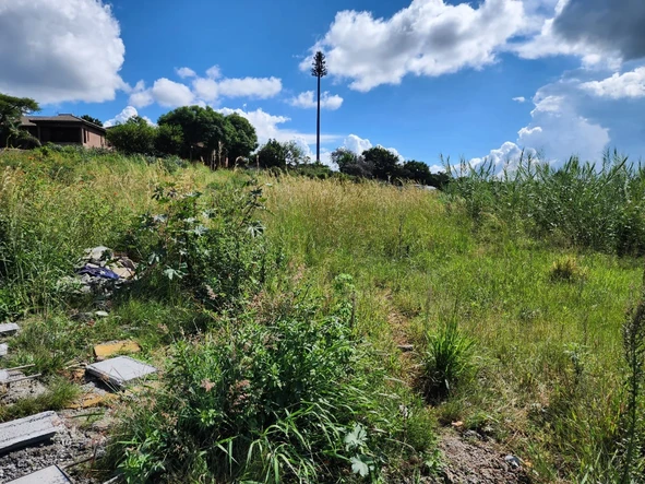 Commercial & Industrial Land