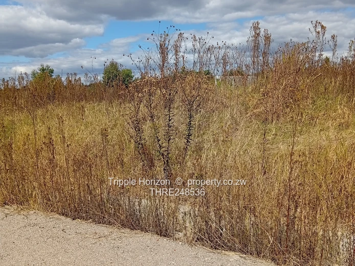 460m² Vacant Stand — Erasmus Park, Ruwa (Gated)