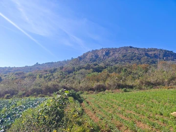 Commercial & Industrial Land
