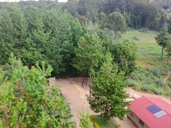 Farm & Agricultural Land