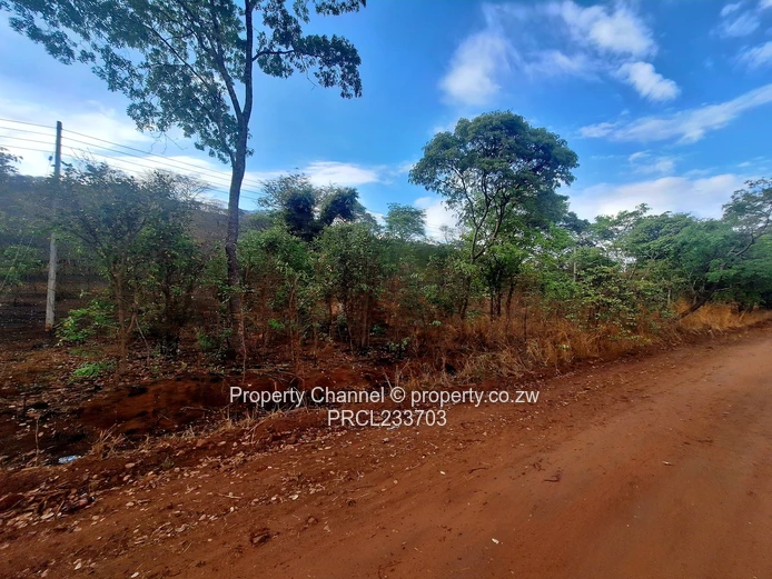 Own a piece of Paradise!