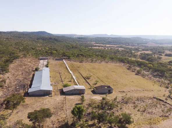 Farm & Agricultural Land