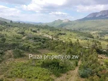8,188 m² Juliasdale Stand — Secluded Hillside Views