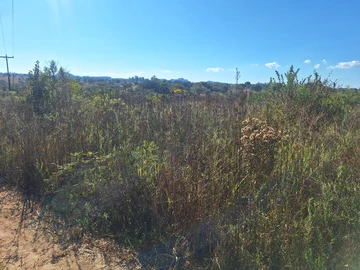 Commercial & Industrial Land