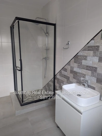 Investment Opportunity