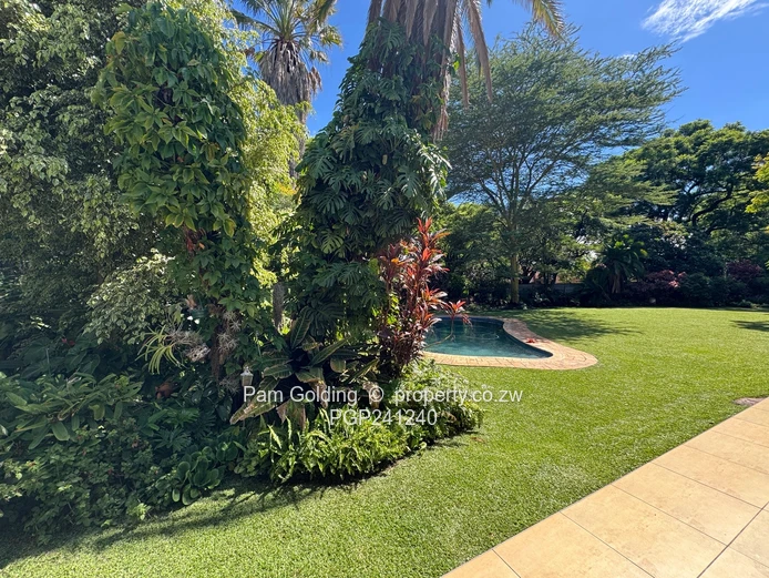 Alexandra Park - Seeing is believing 