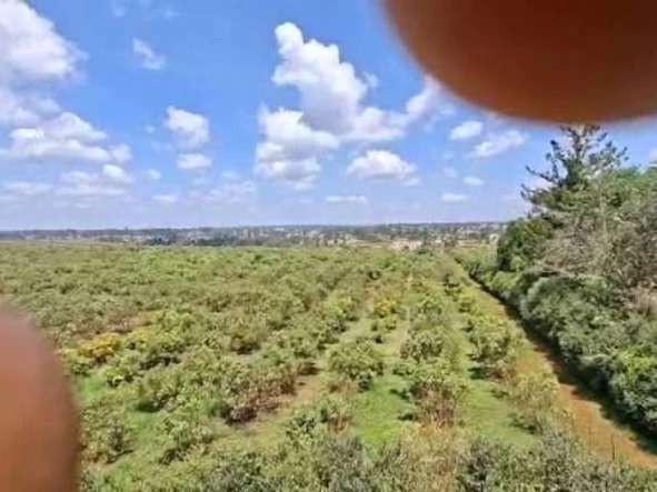 Farm & Agricultural Land