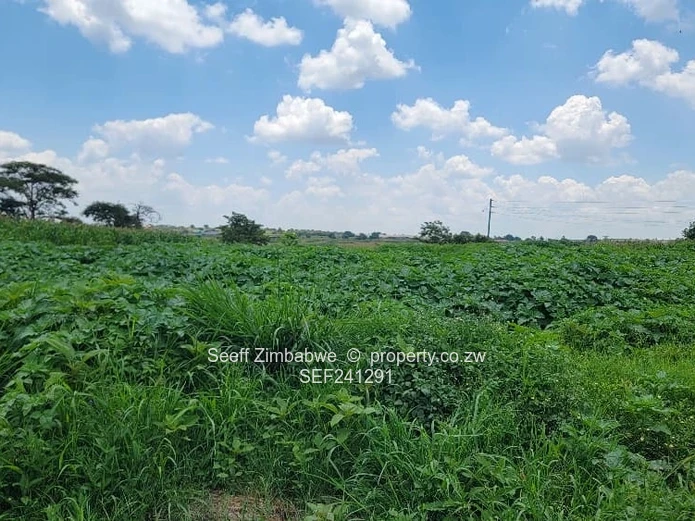 Glaudina 5-Bed Home with Arched Veranda & Borehole on 11,000m²