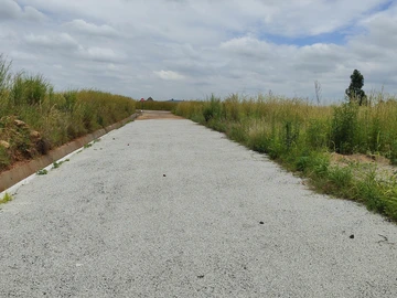 Stands & Residential Land