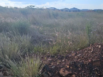 Stands & Residential Land