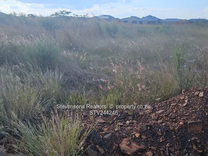 Affordable residential stands 509spm in Penrose Nyabira 