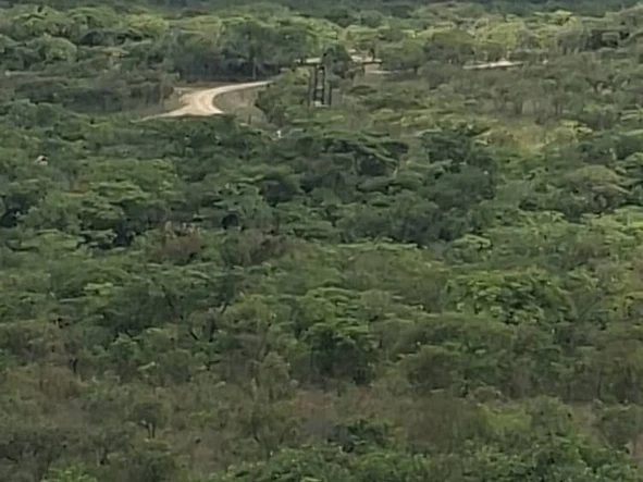 Farm & Agricultural Land