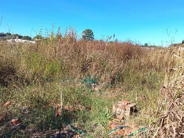Land
