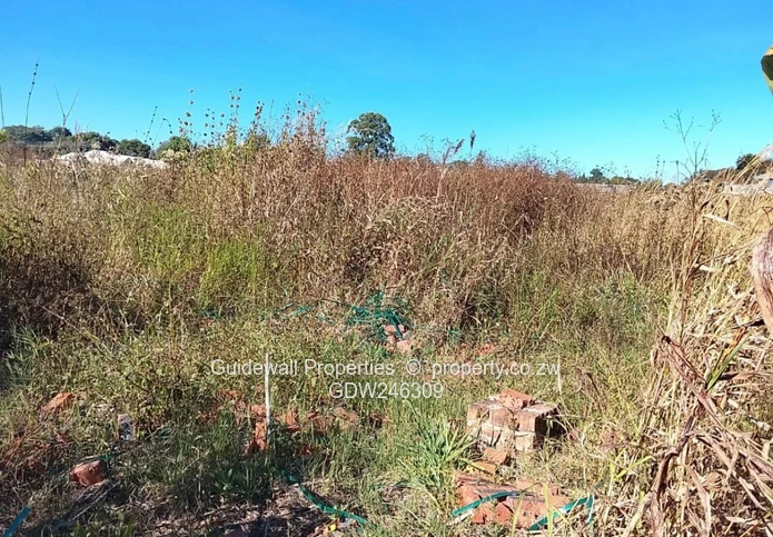 5000sqm stand for sale in Blufhill