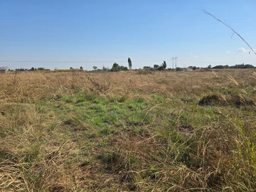 Stands & Residential Land