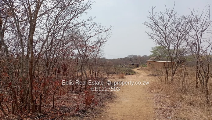 Gweru Plots for sale 