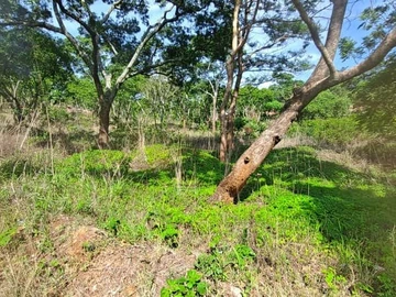 Farm & Agricultural Land