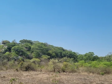 Farm & Agricultural Land