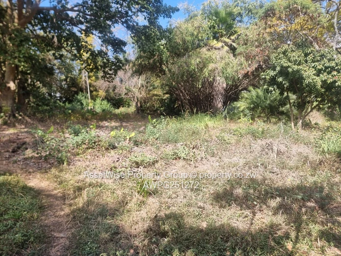 2100m² Tree-lined Commercial Plot in Avondale — Services