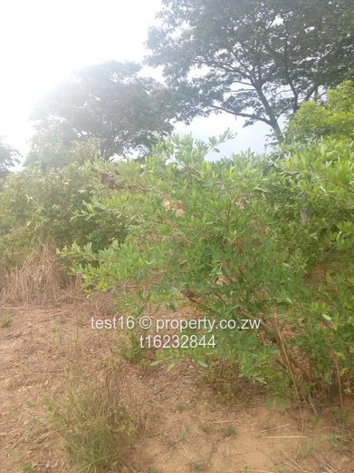 3750 hac in Nyamandhlovu 