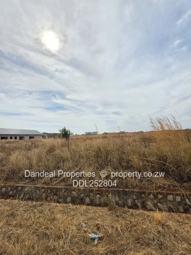 A choice of 3 stands. 2000 sqm Pomona Stand on Paved Road with Drainage