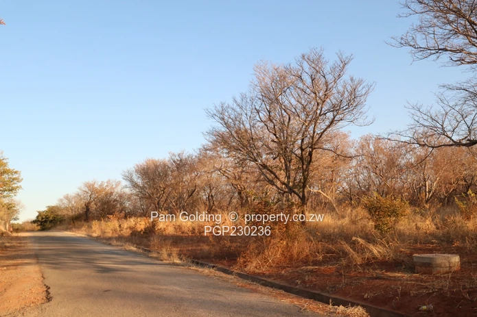 What An Incredible Opportunity To Invest In Vic Falls!
