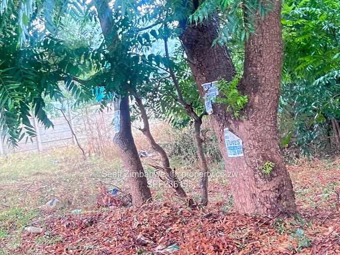 Land For Sale In Mandara